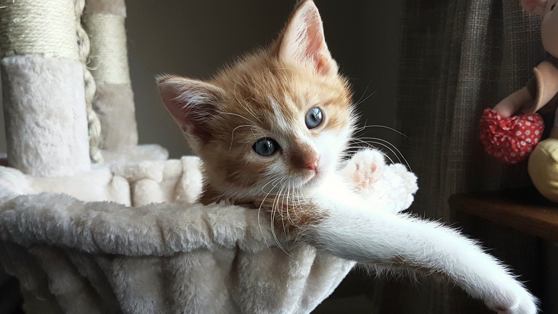 kering.com-中国足球携手高校建设“足球+文化”创新平台，中国足球校园