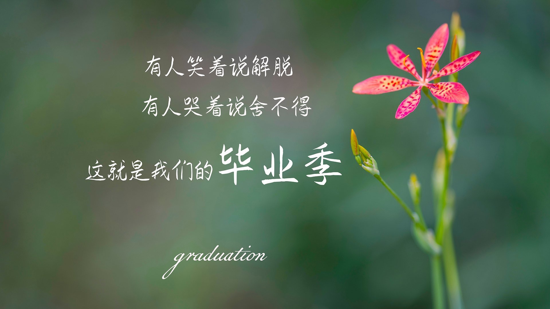 外线火力全开！北京队三分命中率高达38%，惹人注目！，球队三分命中记录