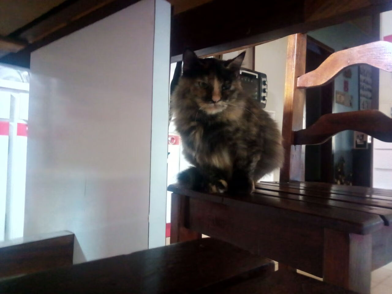 山地探险穿越赛,享受自然极限乐趣,山地探险有哪些